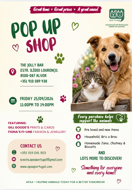 Poster for APAA Pop Up Shop at The Jolly