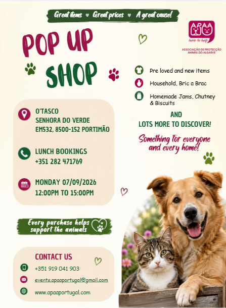 Poster for APAA Pop Up Shop at O'Tasco