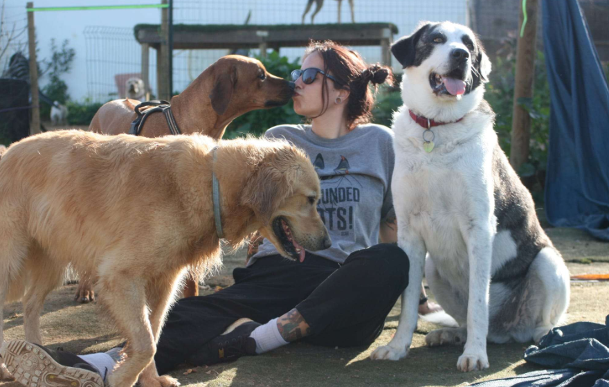 Barkzone cover